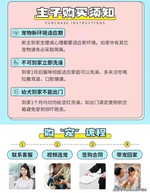 详细阅读:最新传奇私服宠物交易注意事项 最新传奇私服宠物交易注意事项